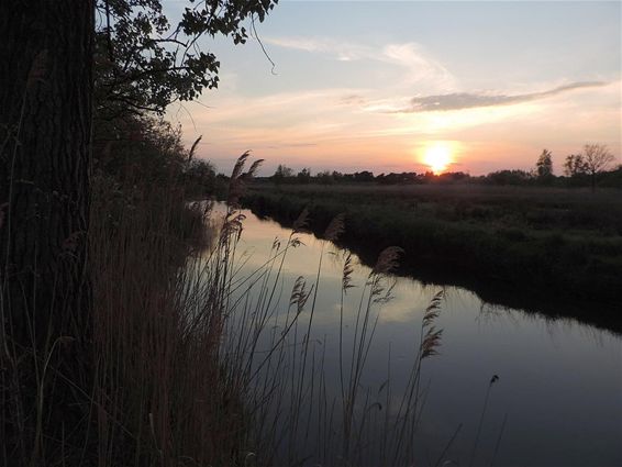 En wéér ging de zon onder... - Neerpelt