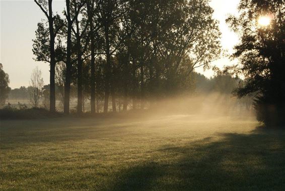 En weer kwam de zon op! - Overpelt