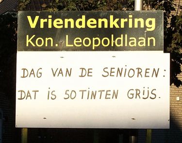 Enkel grijze senioren? - Lommel