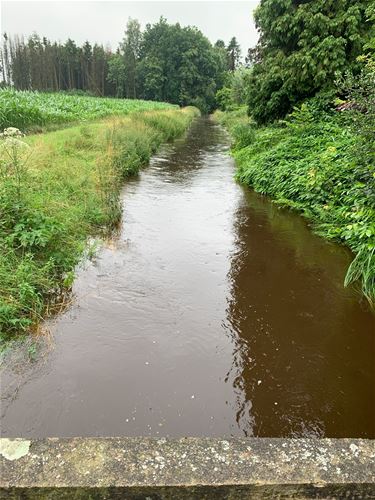 Enkele wegen afgesloten vanwege wateroverlast - Pelt