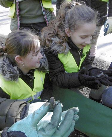 Enthousiaste paddenoverzetters - Oudsbergen