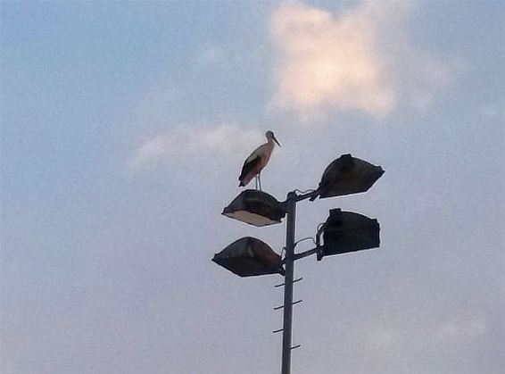 Er hangt iets in de lucht - Neerpelt