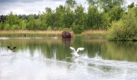 Er is hier altijd wel iets te zien - Lommel