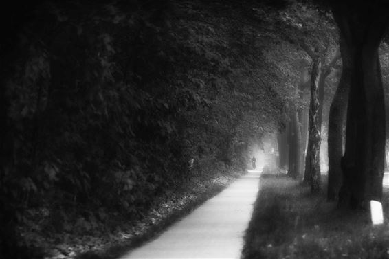 Lommel - Er Is Licht Aan Het Einde Van De Tunnel - Internetgazet
