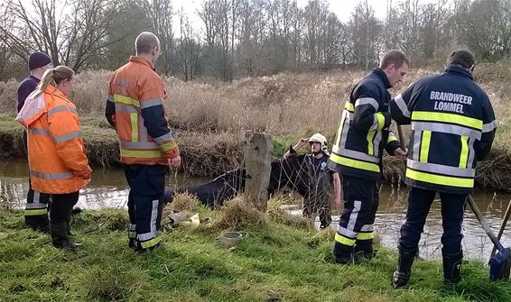 Er stond een paard in de Dommel - Neerpelt