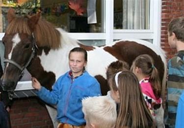 Er stond een pony in de school - Neerpelt