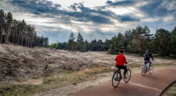 Er wordt wat afgefietst - Lommel