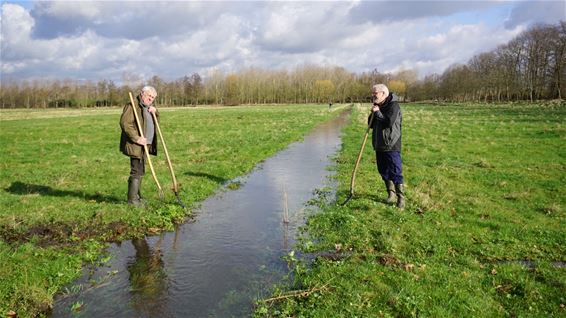 Er wordt weer gewitterd - Lommel