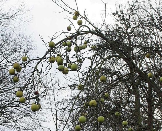 Er zijn geen zekerheden meer... - Hamont-Achel