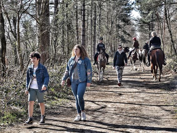 Erg druk in de Sahara vandaag - Lommel