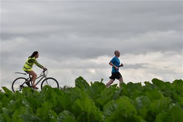 Estafetteploeg 5x Beringen loopt naar Paal (NL) - Beringen