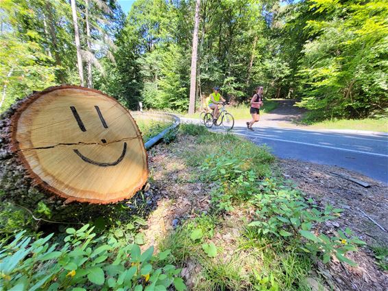 Estafetteploeg is halfweg - Beringen