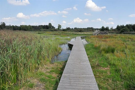 Europese prijs voor natuur in Dommeldal - Peer & Pelt