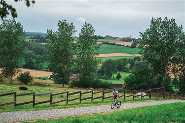 Even de Flandrien Challenge rijden