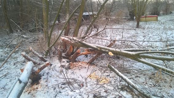 Even de tandjes slijpen - Neerpelt