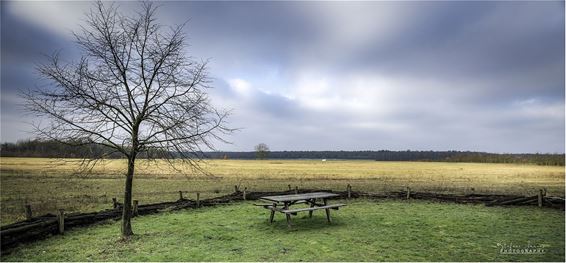 Even de winterzon... - Hechtel-Eksel