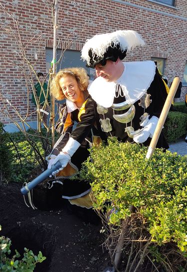 Even een koningsboom planten - Pelt