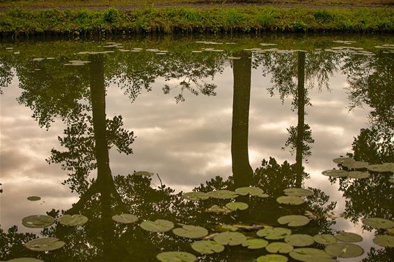 Even mediteren bij het kanaal - Lommel