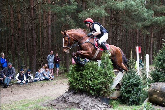 Eventing in Holheide - de foto's - Overpelt