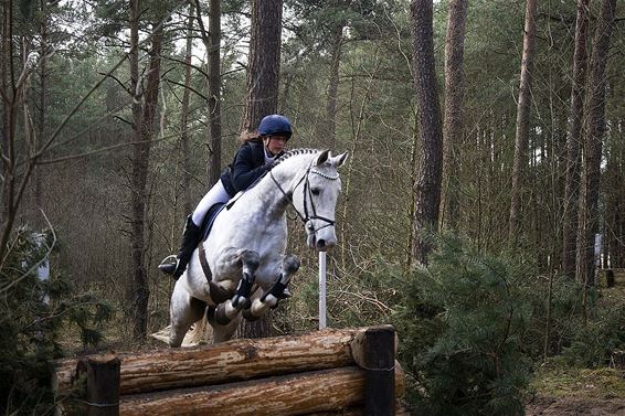 Eventing in Holheide - Overpelt