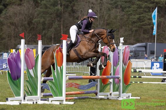 Eventing in Holven lokt ruiters en publiek - Pelt