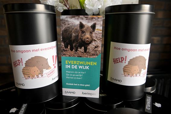 'Everzwijnpretpakket' voor buurtbewoners Steenveld - Beringen