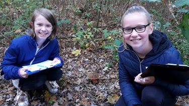 Excursie naar Resterheide - Peer