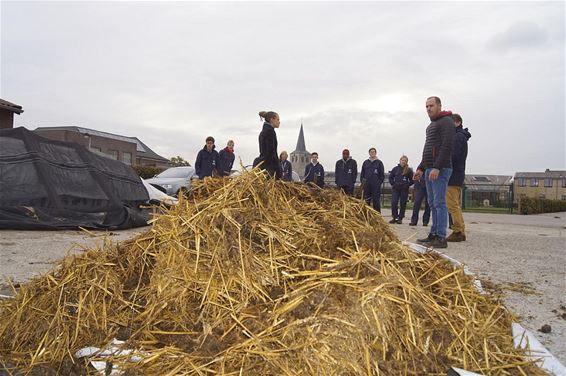 Experimenteren met paardenmest - Bocholt