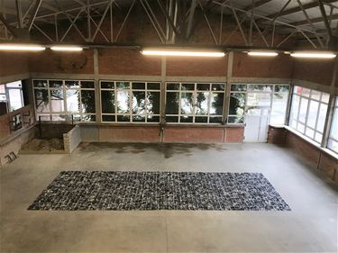 Expo Artikel 27 kan toch nog open - Beringen