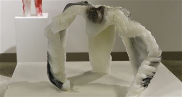 Expo Brigitte Thijs in Galerie Lutgart - Beringen