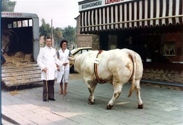 Expo Commerce op de cité - Beringen