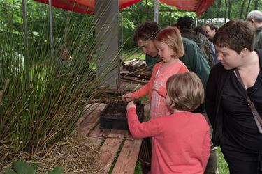 Expo 'Dag van het Park' in de Watersnip - Beringen