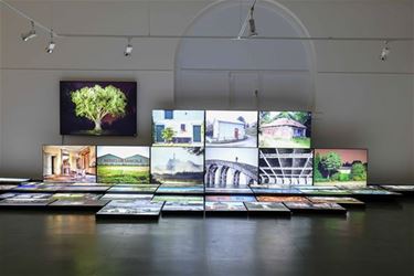 Expo 'Dit zien wij'