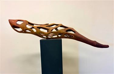 Expo Gerda Bijnens - Beringen