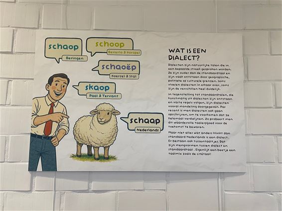 Expo: ‘Grôê(ë)t Berringe … da’s 4x plat’ - Beringen