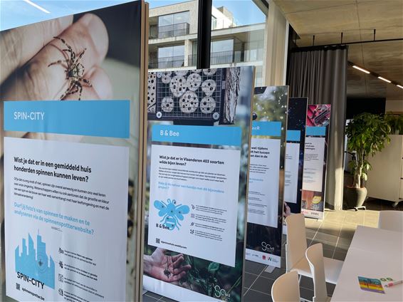 Expo 'Iedereen wetenschapper' - Beringen
