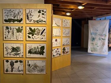 Expo: Stemmen uit de droogte - Beringen