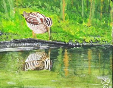 Expo 'Vogels in Acryl' - Beringen