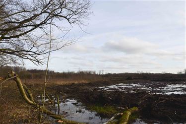 Extra ruimte voor de watersnip in Koersel - Beringen