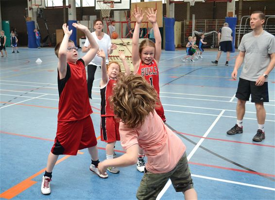 Familiedag basket alweer groot succes - Lommel