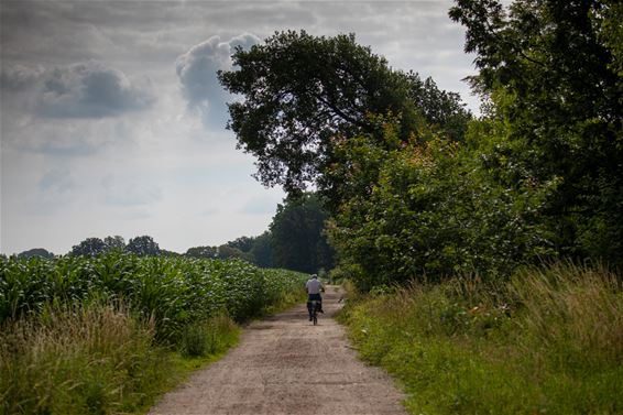 Fauna en flora op donderdag - Lommel