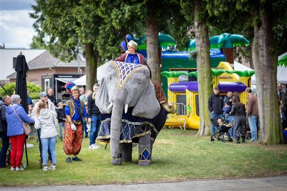 Feest onder de bomen lokte jong en oud - Oudsbergen