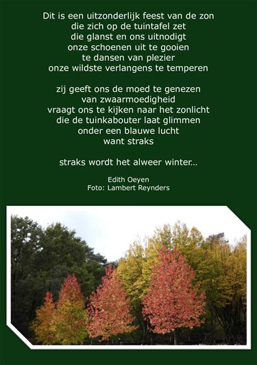 Feest van de zon - Beringen & Leopoldsburg