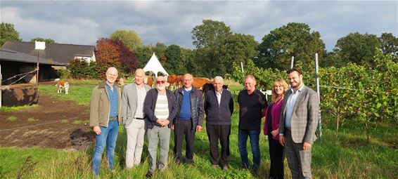 Feestcomité Holven viert 50-jarig bestaan - Pelt
