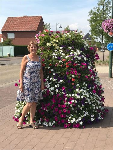 Felicitaties van Nieuw-Zeelanders - Hamont-Achel