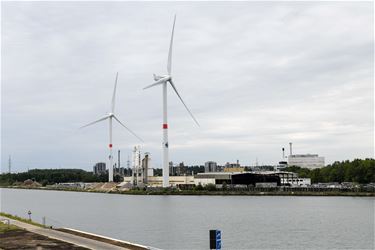 Felle geurhinder in Tessenderlo en Beringen - Beringen