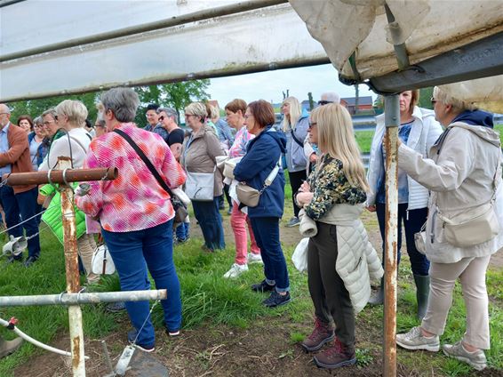 Femma Koersel bezoekt Boermans - Beringen