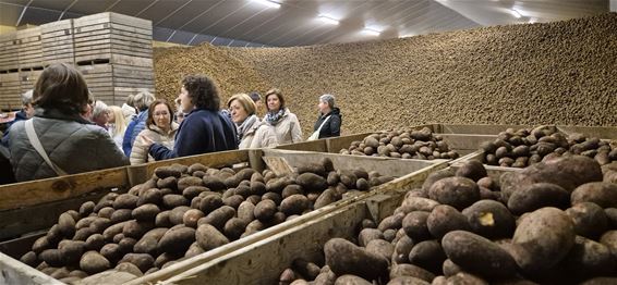 Femma Koersel op bezoek bij Hoeve Machiels - Beringen