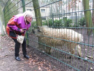 Femma Koersel-Steenveld bezoekt Natuurhulpcentrum - Beringen