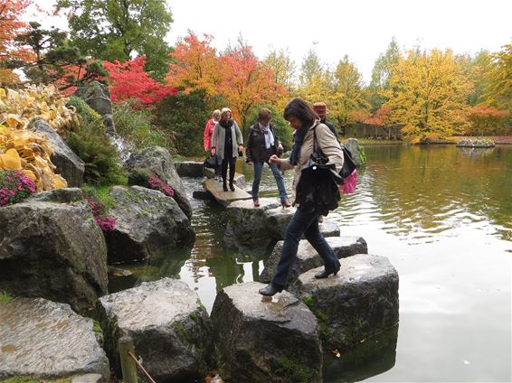 Femma Koersel-Steenveld in de Japanse tuin - Beringen